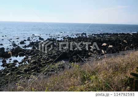 縄状の縄状玄武岩の景色 縄状の縄状玄武岩の景色 114792593