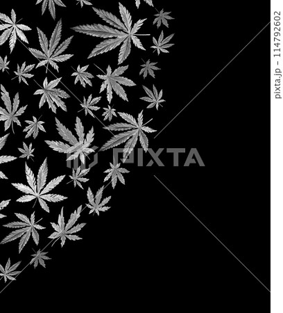 Banner, template with black and white triangle of Cannabis indica, Marijuana medicinal plant. Watercolor illustration 114792602