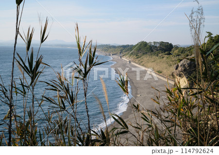 瀬平自然公園から眺める砂浜の景色 瀬平自然公園から眺める砂浜の景色 114792624