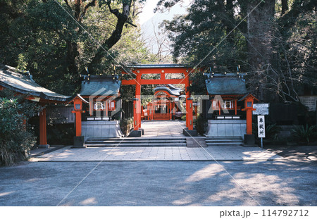 木々に囲まれた枚聞神社の風景 木々に囲まれた枚聞神社の風景 114792712