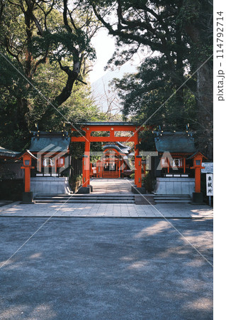 神々しい枚聞神社 114792714