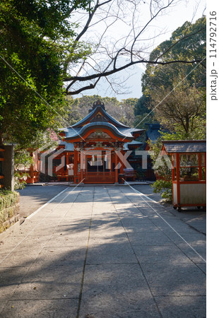 パワースポットの枚聞神社 114792716