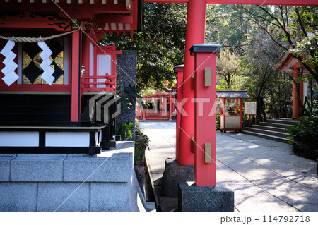 枚聞神社の参道 枚聞神社の参道 114792718