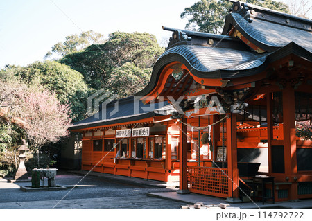 綺麗な枚聞神社の風景 114792722