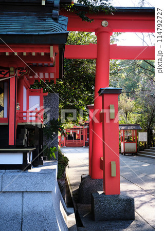 神秘的な枚聞神社 神秘的な枚聞神社 114792727