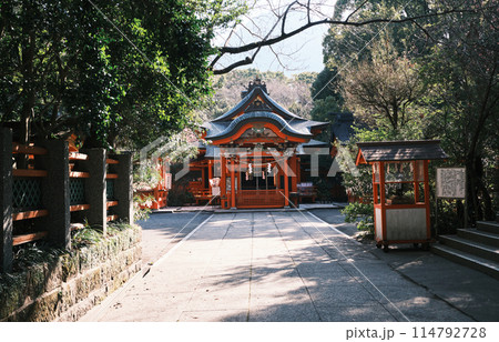 美しい枚聞神社の風景 美しい枚聞神社の風景 114792728