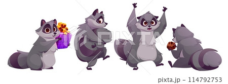 Racoon cartoon character in various poses 114792753
