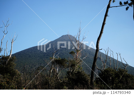 林の中から眺める開聞岳の景色 114793340