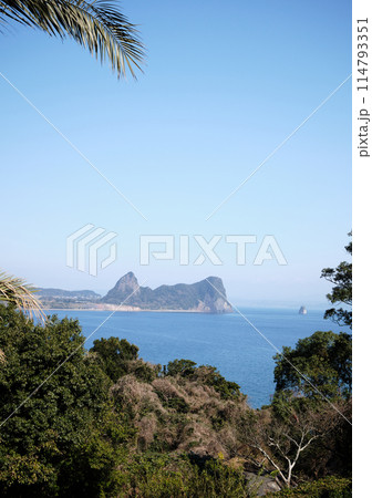 奥に見える竹山 114793351