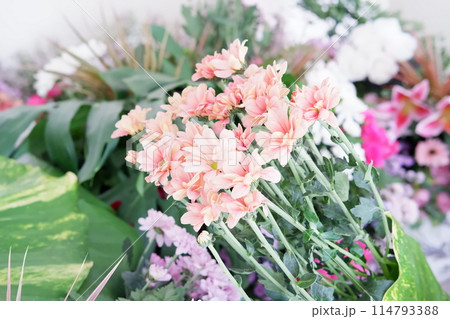 beautiful floral panorama as a background 114793388