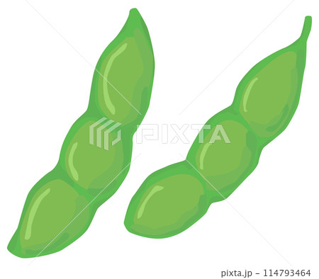 枝豆のイラスト ベクター素材 114793464