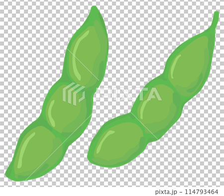 枝豆のイラスト ベクター素材 114793464