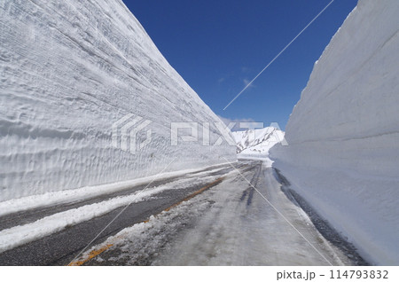 雪の大谷 立山黒部アルペンルート 雪の大谷 立山黒部アルペンルート 114793832
