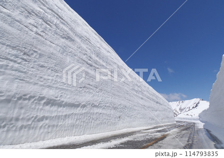 雪の大谷 立山黒部アルペンルート 雪の大谷 立山黒部アルペンルート 114793835