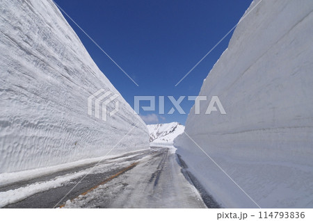 雪の大谷  立山黒部アルペンルート  114793836