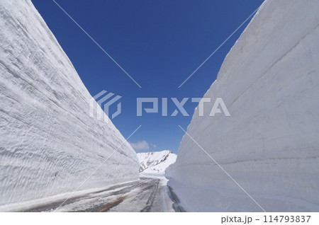 雪の大谷  立山黒部アルペンルート  雪の大谷  立山黒部アルペンルート  114793837