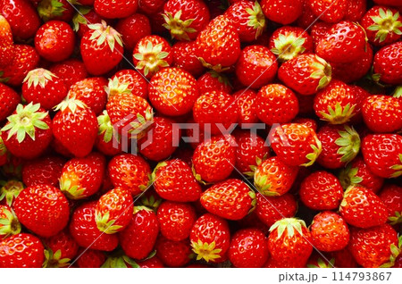 小粒いちご 114793867