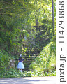 森の中へ 114793868