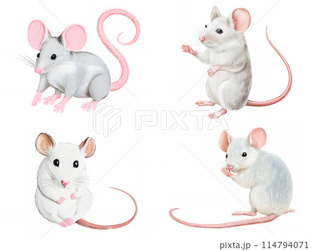 アナログタッチ、手描き風のネズミのイラストセット、油絵風