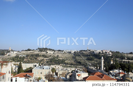 Panorama of mount of olives in Jerusalem, Israel 114794331