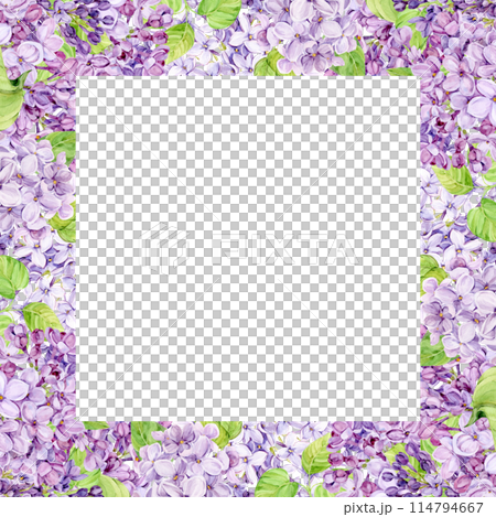 Watercolor frame with purple lilac on a transparent background. Square border of spring flowers in lavender color. Create Provence style wedding invitations, save the date or invitations 114794667