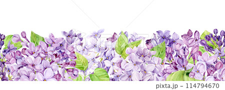 Watercolor illustration of lilac. Horizontal banner with purple syringa with leaves, flowers and buds. Fragrant spring flowers on a transparent background. Botanical illustration for wedding 114794670
