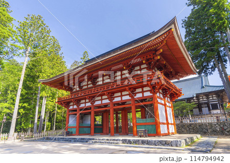 初夏の高野山 壇上伽藍 中門 初夏の高野山 壇上伽藍 中門 114794942