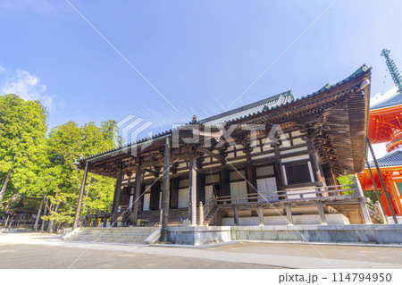 初夏の高野山 壇上伽藍 金堂 初夏の高野山 壇上伽藍 金堂 114794950