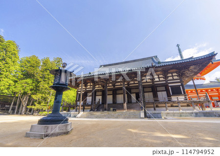 初夏の高野山 壇上伽藍 金堂 初夏の高野山 壇上伽藍 金堂 114794952