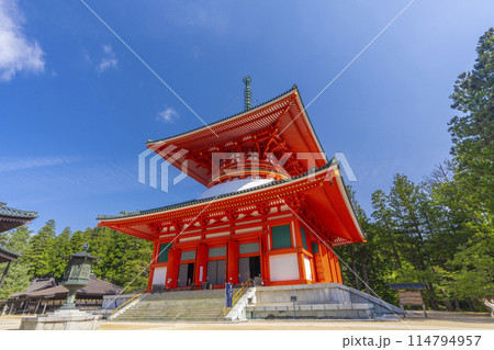 初夏の高野山　壇上伽藍　根本大塔 114794957