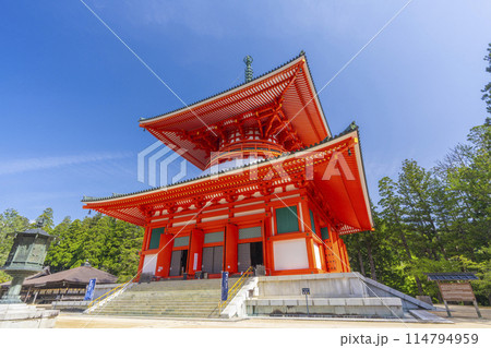 初夏の高野山　壇上伽藍　根本大塔 114794959