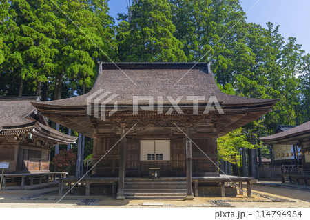 初夏の高野山　壇上伽藍　准胝堂 114794984