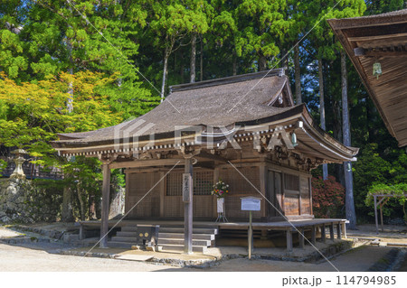 初夏の高野山　壇上伽藍　孔雀堂 114794985