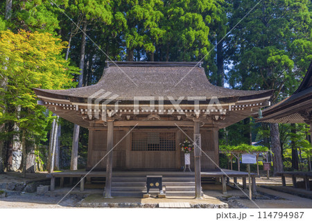 初夏の高野山　壇上伽藍　孔雀堂 114794987