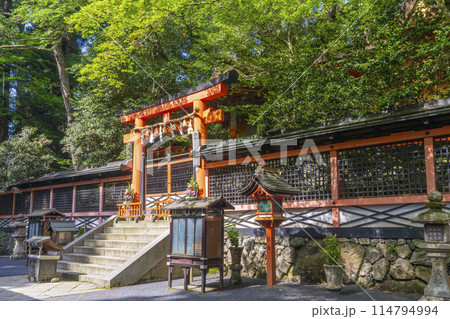初夏の高野山　壇上伽藍　御社（みやしろ） 114794994