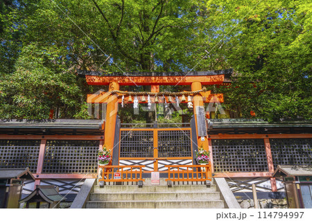 初夏の高野山　壇上伽藍　御社（みやしろ） 114794997