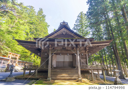 初夏の高野山 壇上伽藍 山王院 初夏の高野山 壇上伽藍 山王院 114794998