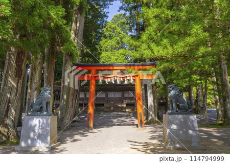 初夏の高野山 壇上伽藍 山王院 初夏の高野山 壇上伽藍 山王院 114794999