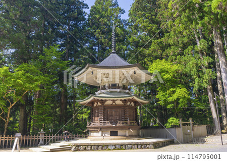 初夏の高野山　壇上伽藍　六角経蔵 114795001