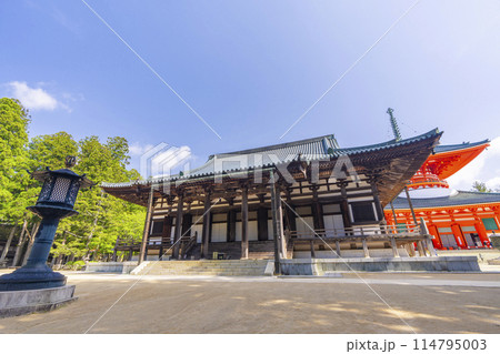 初夏の高野山　壇上伽藍　金堂 114795003