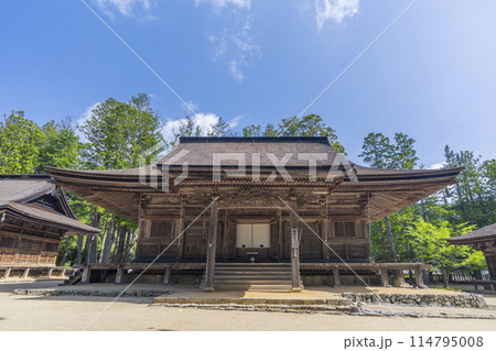 初夏の高野山　壇上伽藍　大会堂 114795008