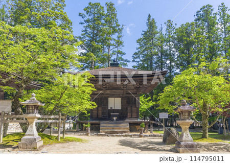 初夏の高野山　壇上伽藍　三昧堂 114795011