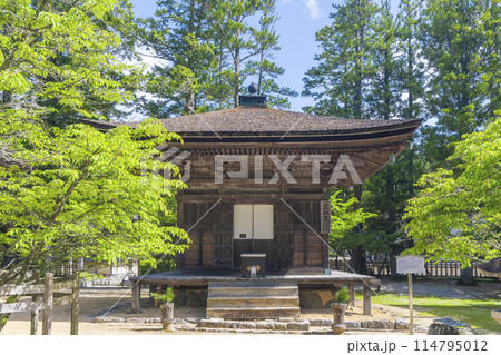 初夏の高野山　壇上伽藍　三昧堂 114795012