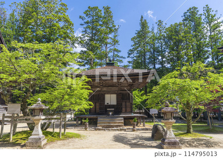 初夏の高野山　壇上伽藍　三昧堂 114795013