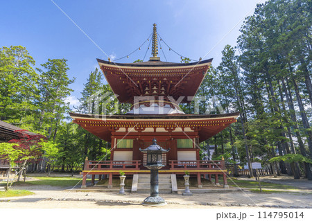 初夏の高野山　壇上伽藍　東塔 114795014