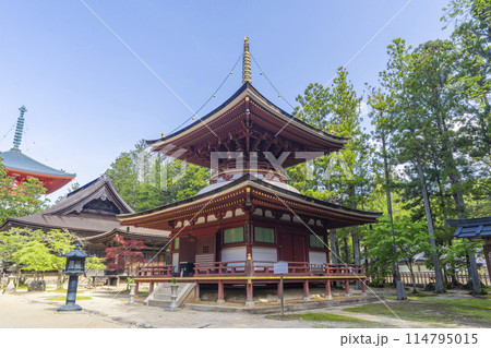 初夏の高野山　壇上伽藍　東塔 114795015
