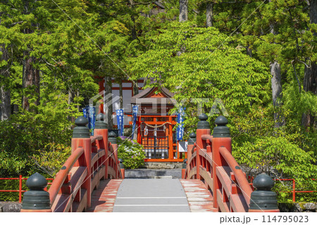 初夏の高野山　壇上伽藍　善女龍王社 114795023
