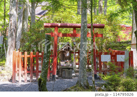 初夏の高野山　壇上伽藍　清瀧大権現龍王 114795026