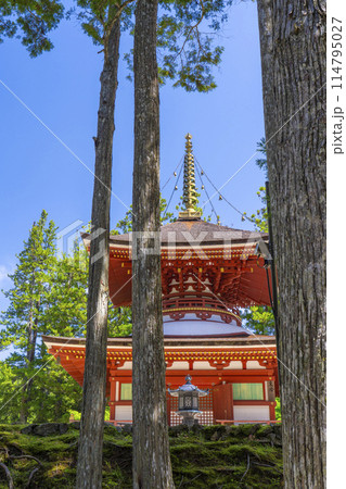 初夏の高野山　壇上伽藍　根本大塔 114795027