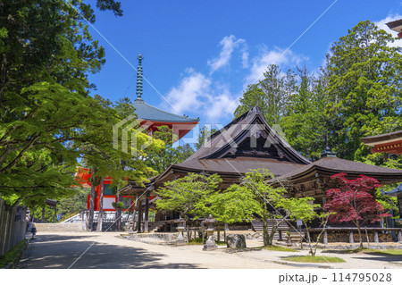 初夏の高野山 壇上伽藍 初夏の高野山 壇上伽藍 114795028